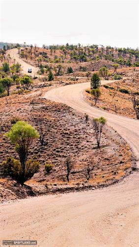 Flinders Ranges NP, SA. 